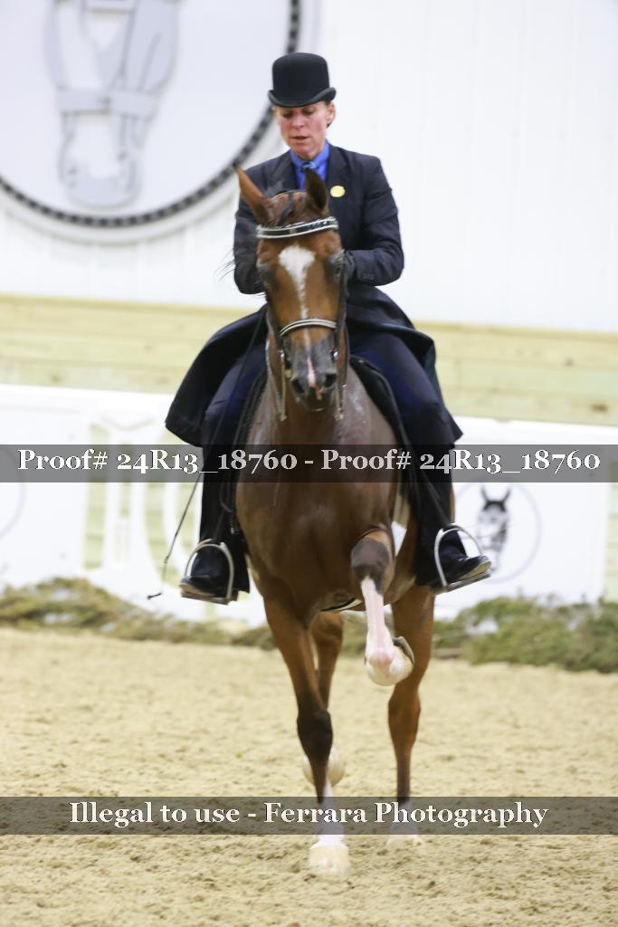 Proof 24R13_18760