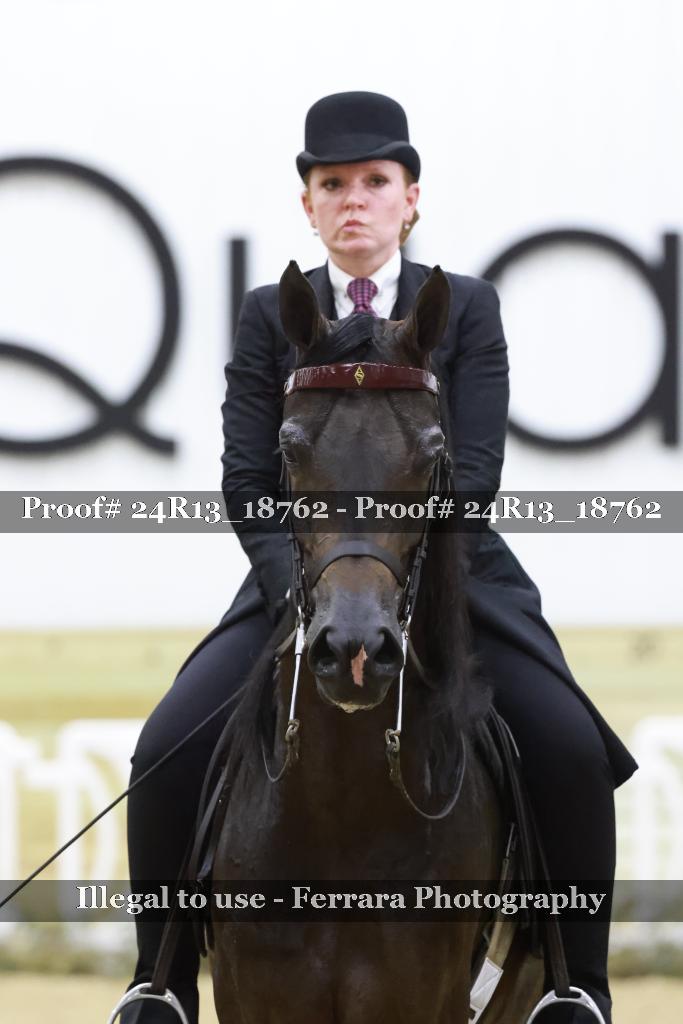 Proof 24R13_18762