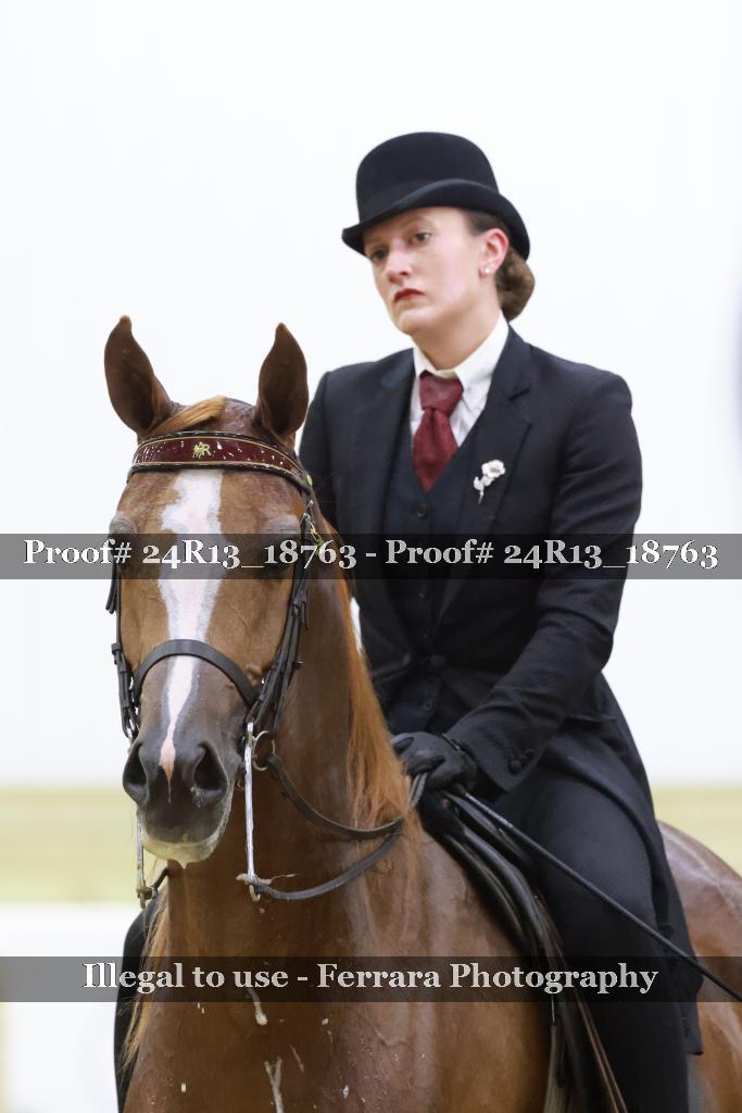 Proof 24R13_18763