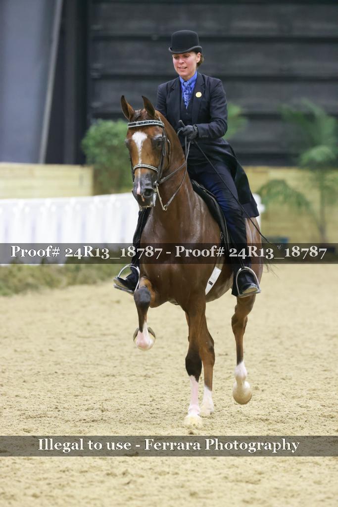 Proof 24R13_18787