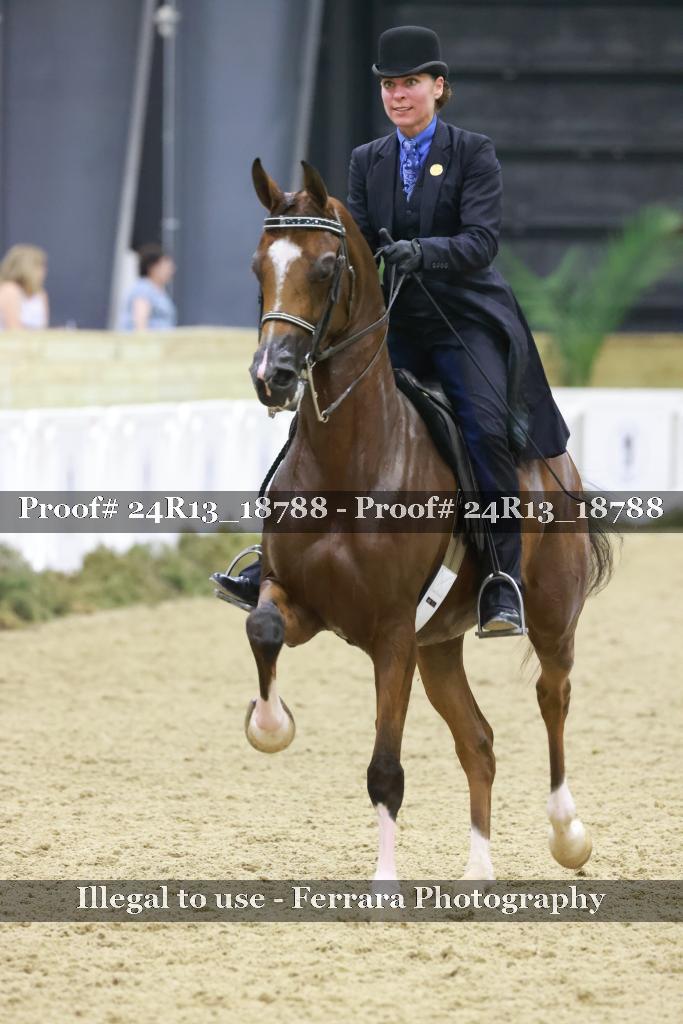 Proof 24R13_18788