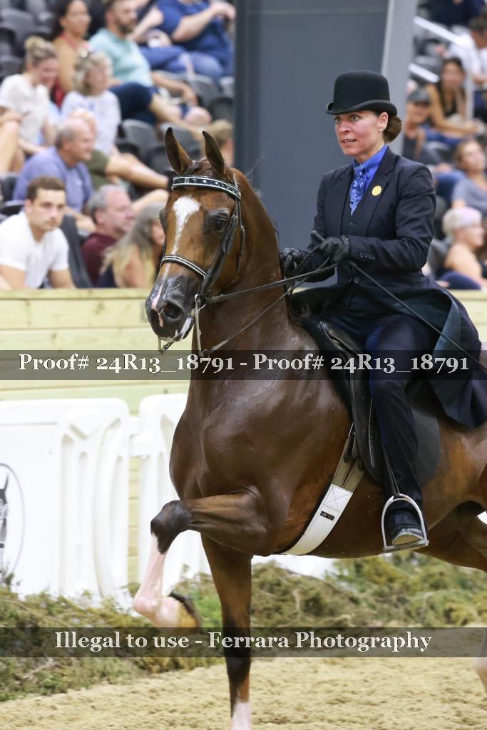 Proof 24R13_18791