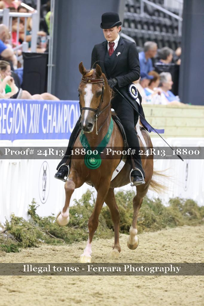 Proof 24R13_18800
