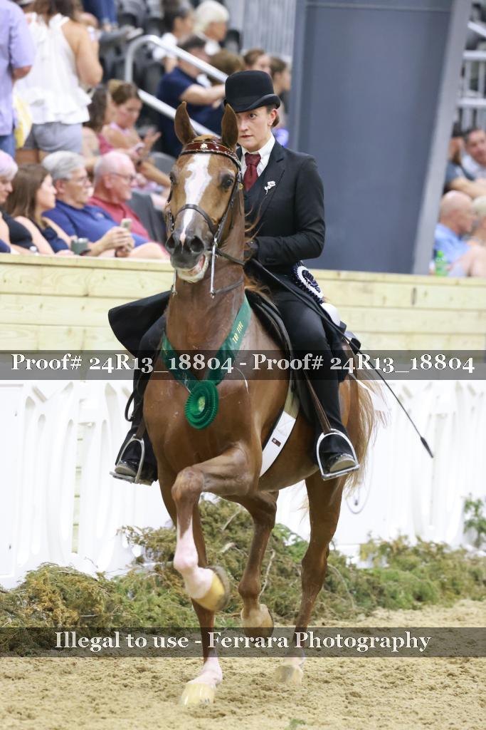 Proof 24R13_18804