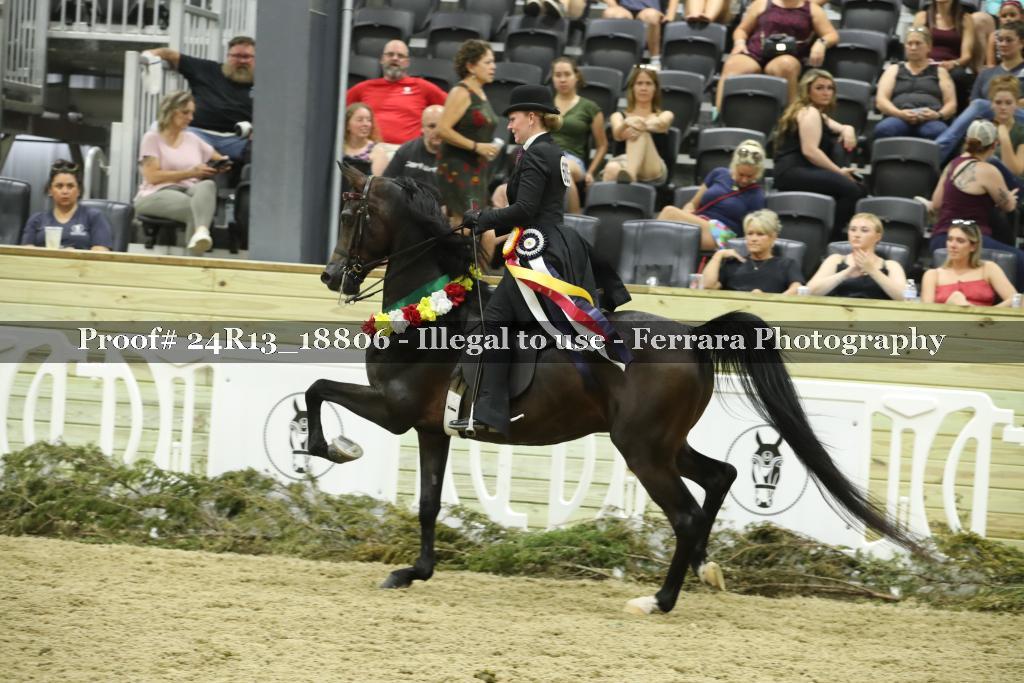 Proof 24R13_18806