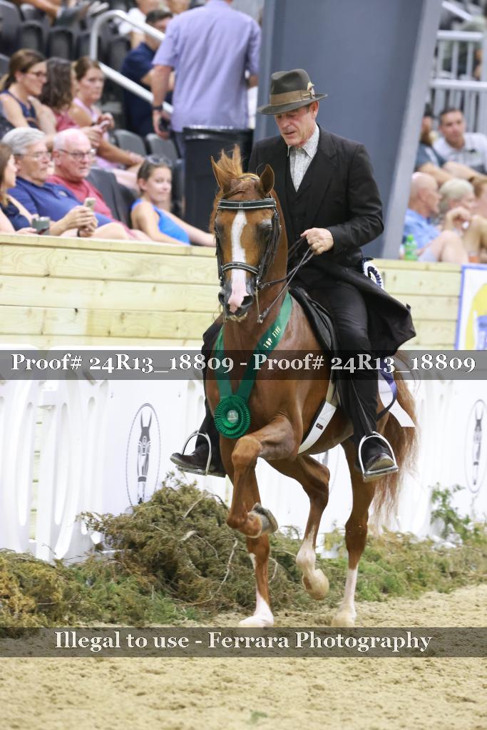 Proof 24R13_18809