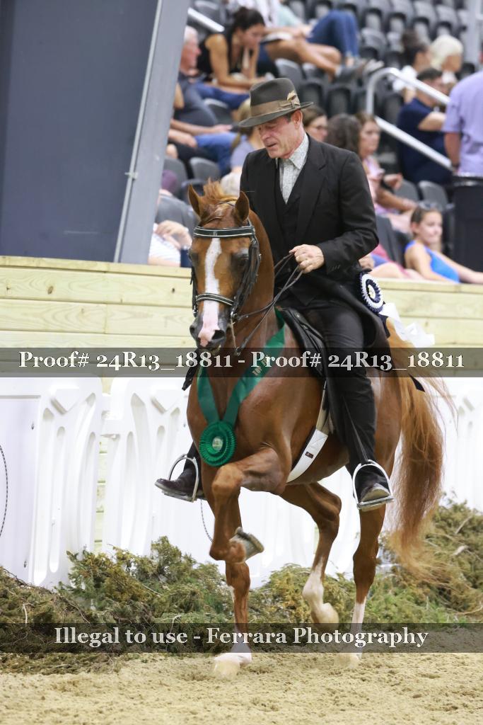 Proof 24R13_18811