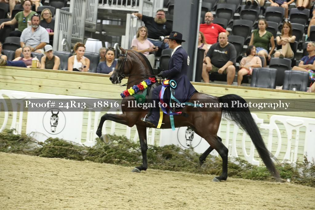 Proof 24R13_18816