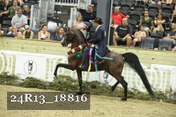 24R13_18816 proof