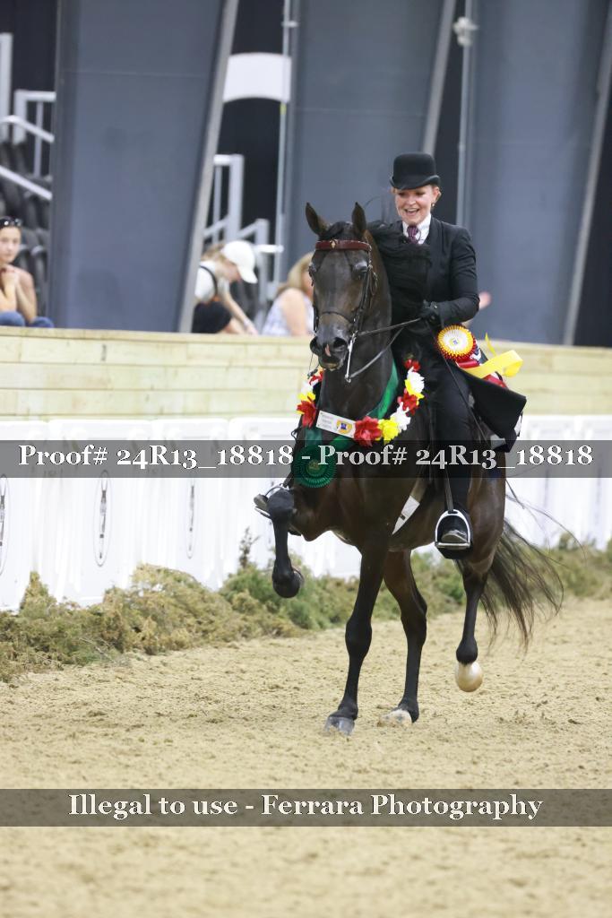 Proof 24R13_18818