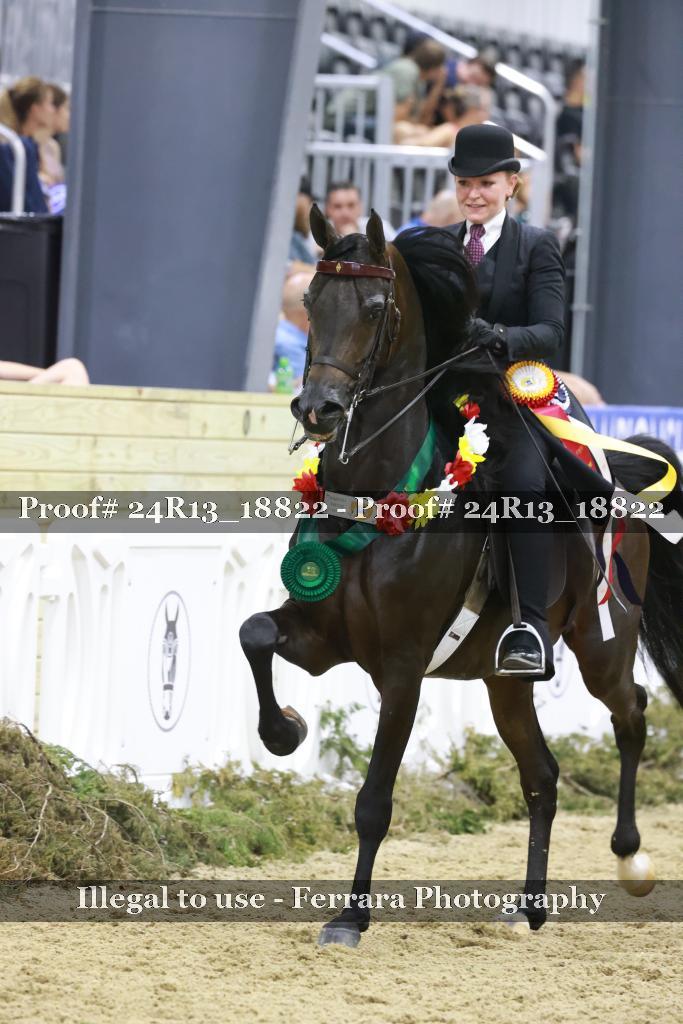 Proof 24R13_18822