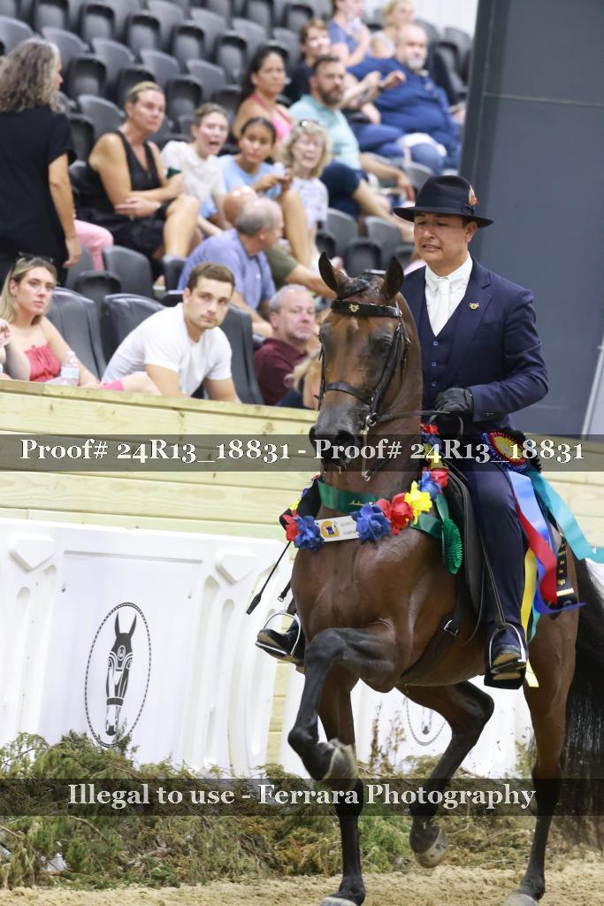 Proof 24R13_18831