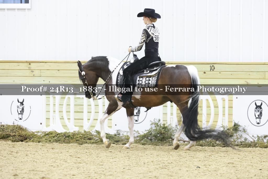 Proof 24R13_18837