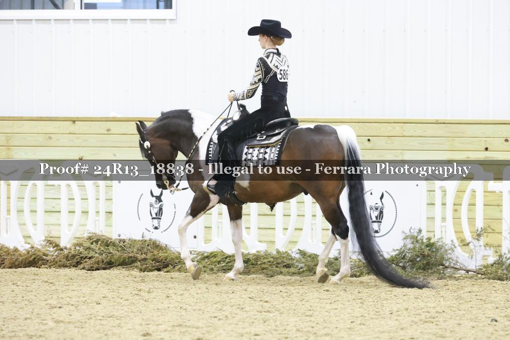 Proof 24R13_18838