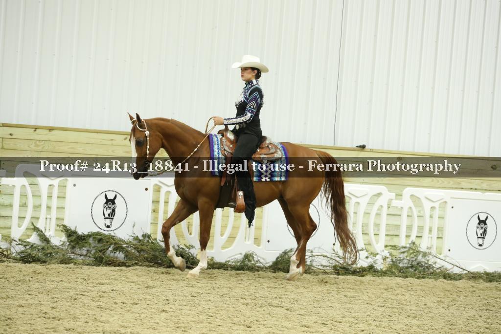 Proof 24R13_18841