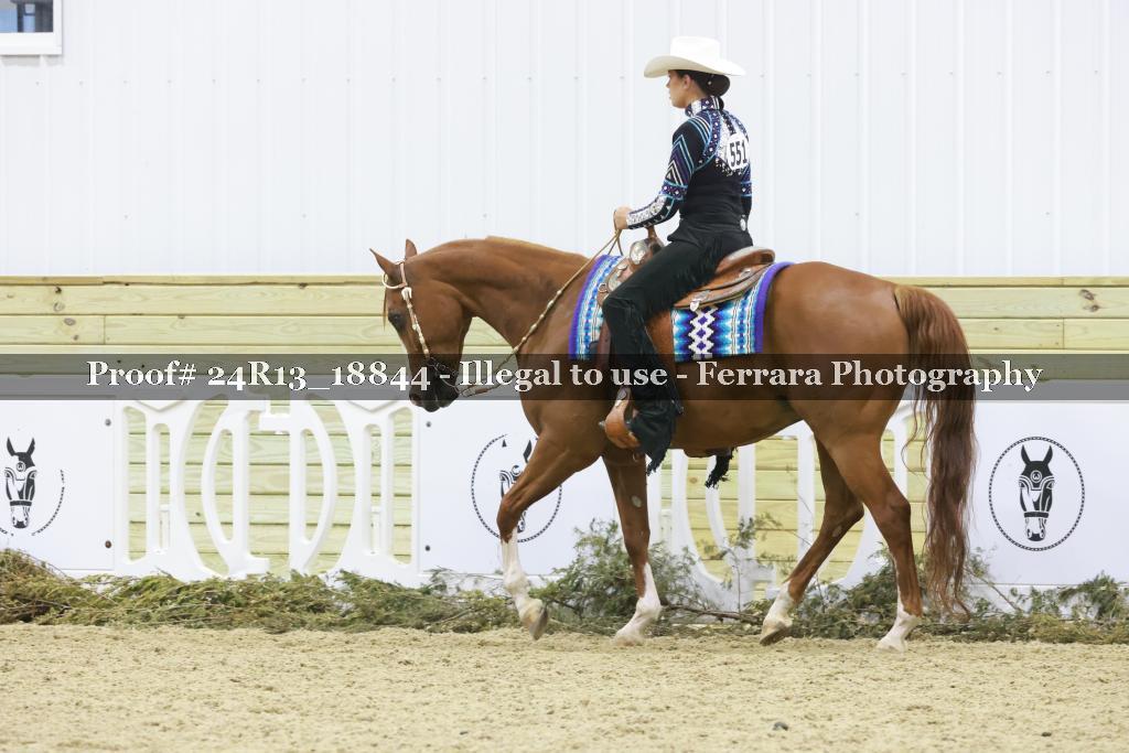 Proof 24R13_18844