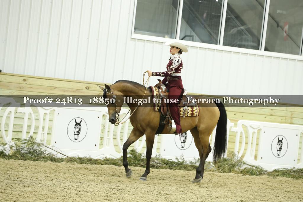 Proof 24R13_18850