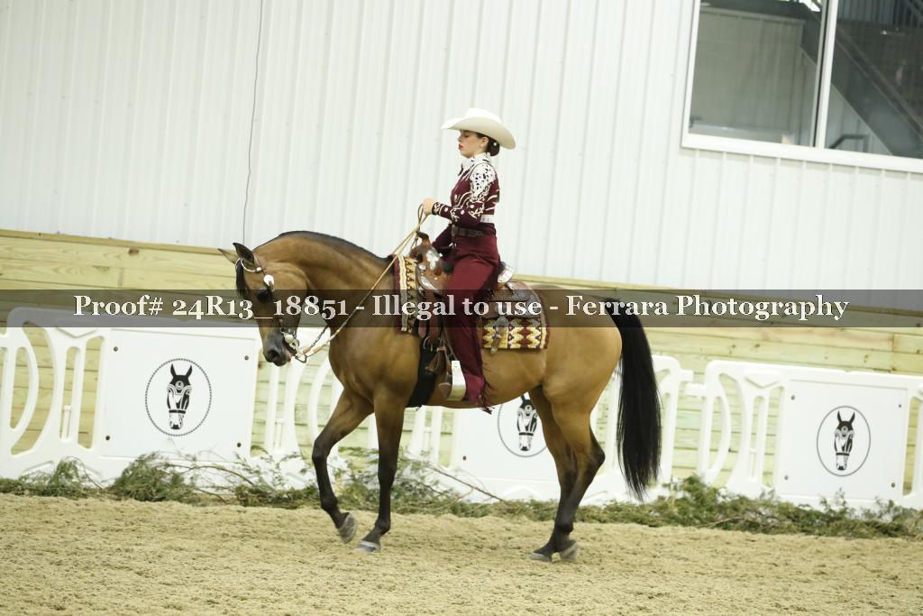 Proof 24R13_18851