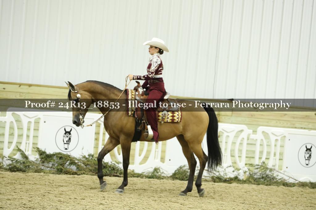 Proof 24R13_18853