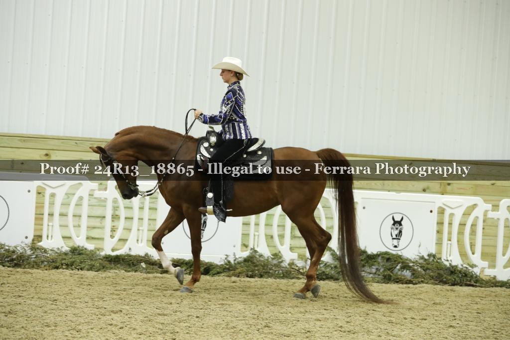 Proof 24R13_18865