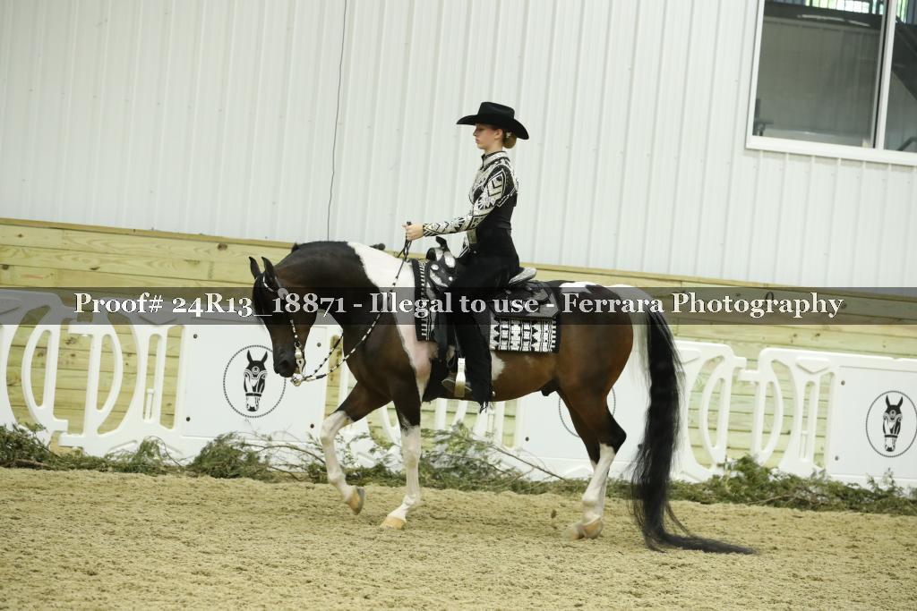 Proof 24R13_18871