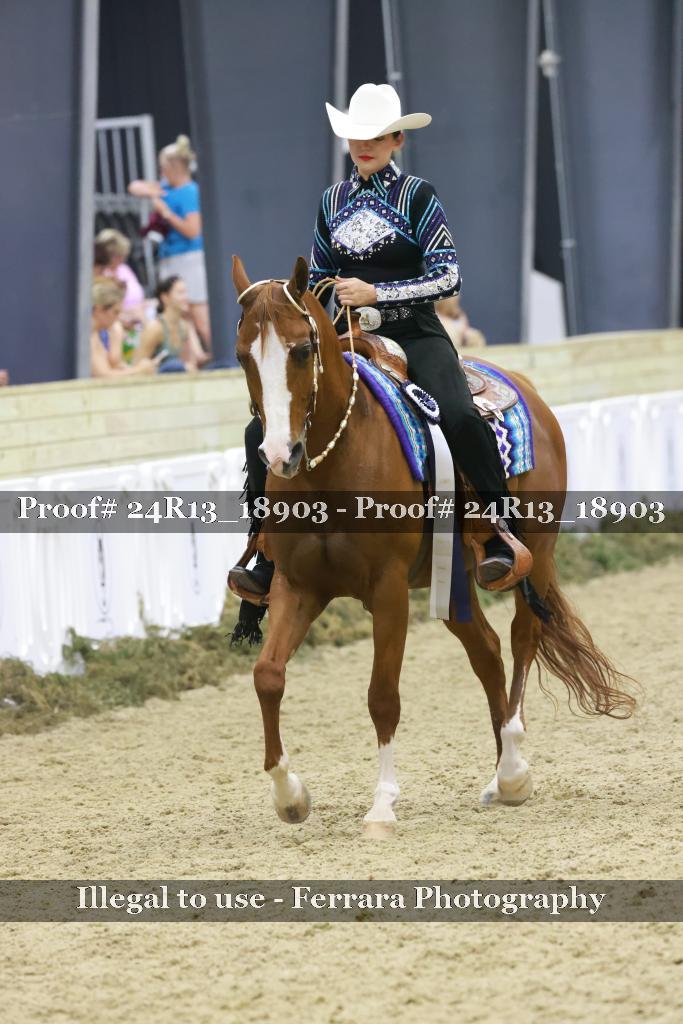 Proof 24R13_18903