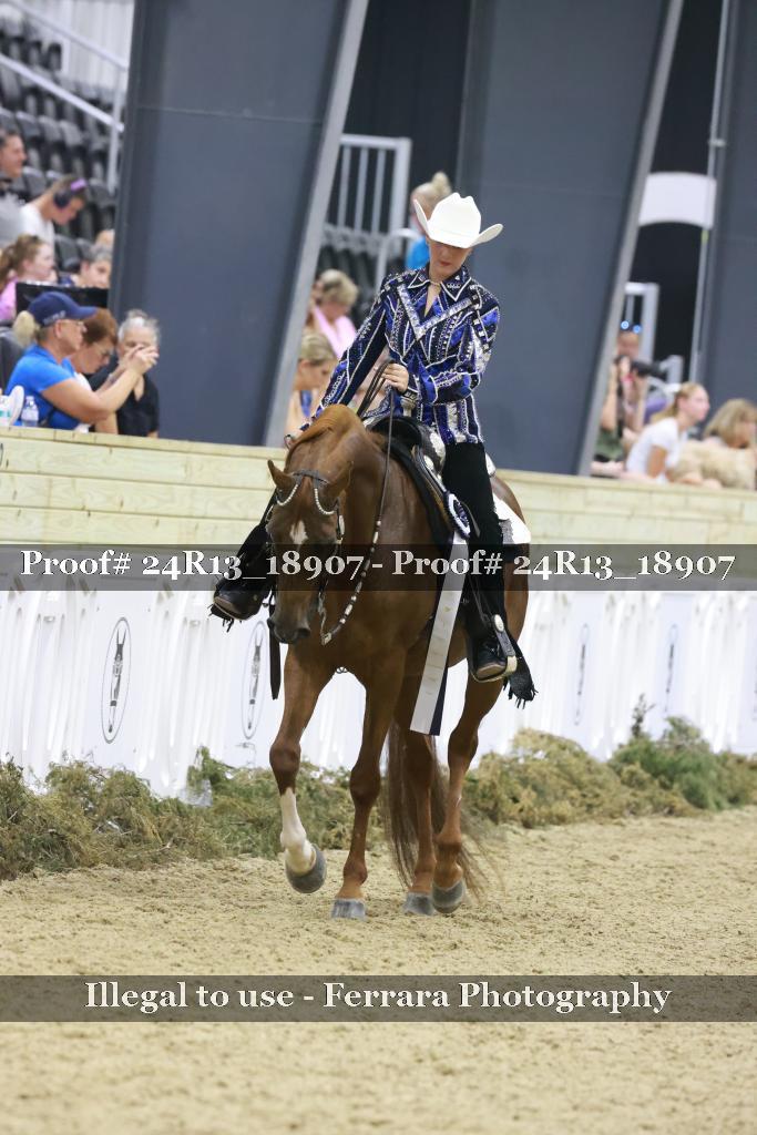 Proof 24R13_18907
