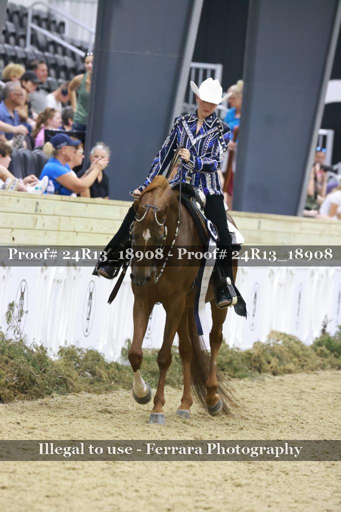 Proof 24R13_18908