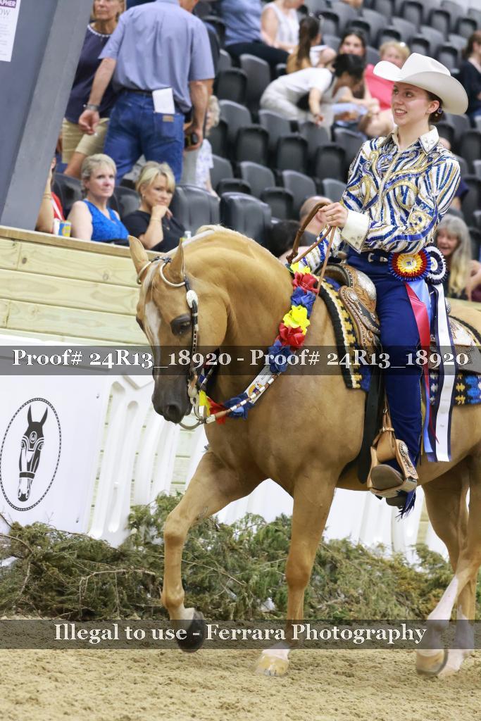Proof 24R13_18920