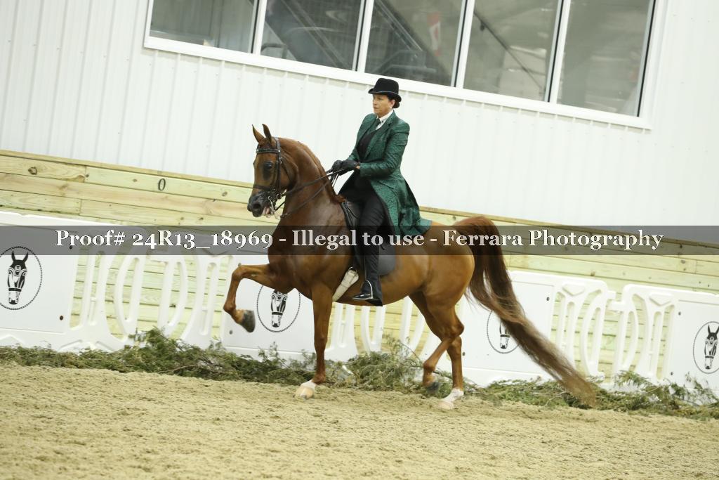 Proof 24R13_18969