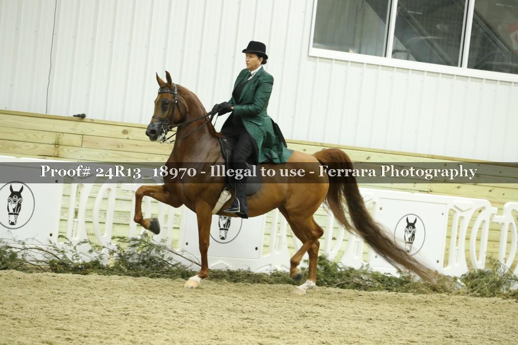 Proof 24R13_18970