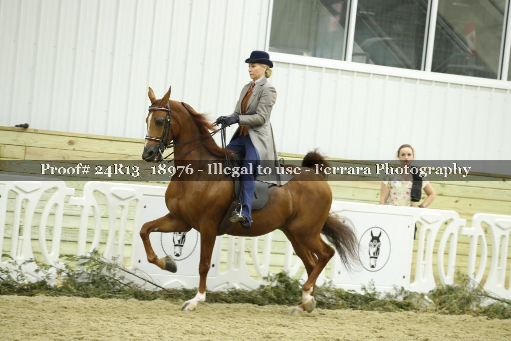 Proof 24R13_18976