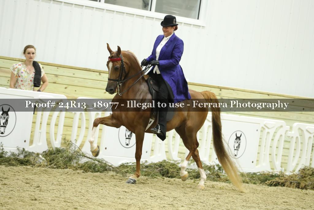 Proof 24R13_18977