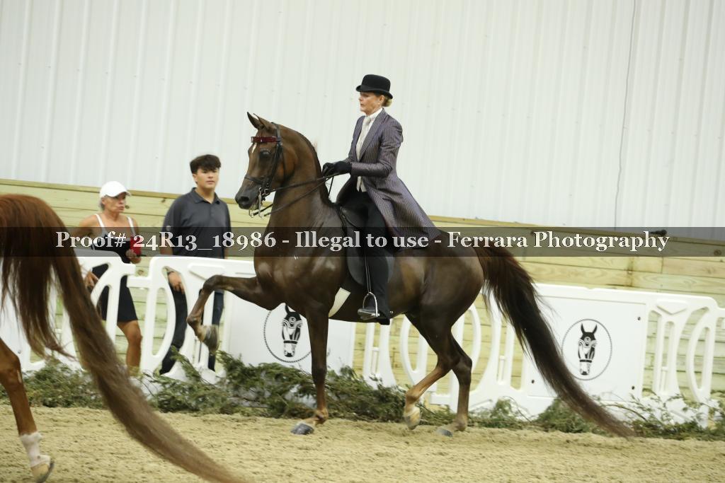 Proof 24R13_18986