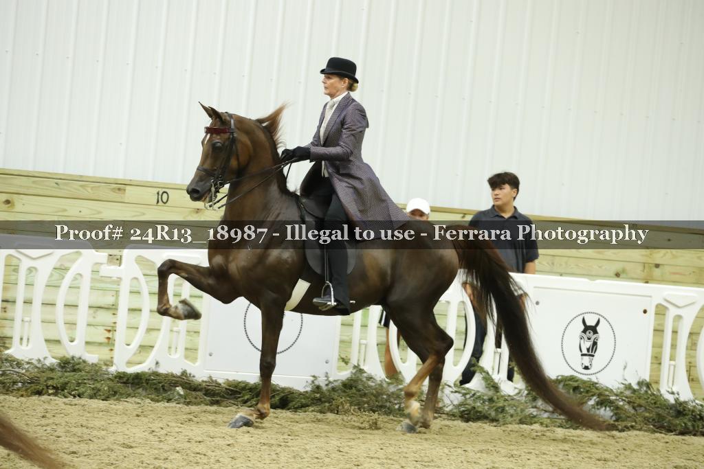 Proof 24R13_18987