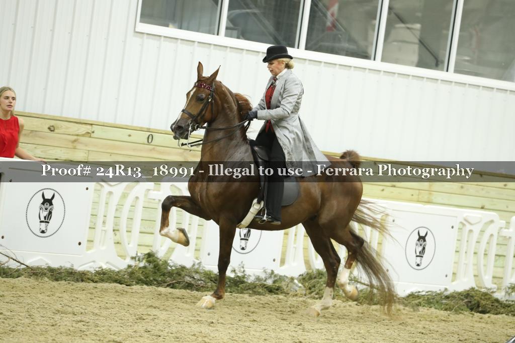Proof 24R13_18991