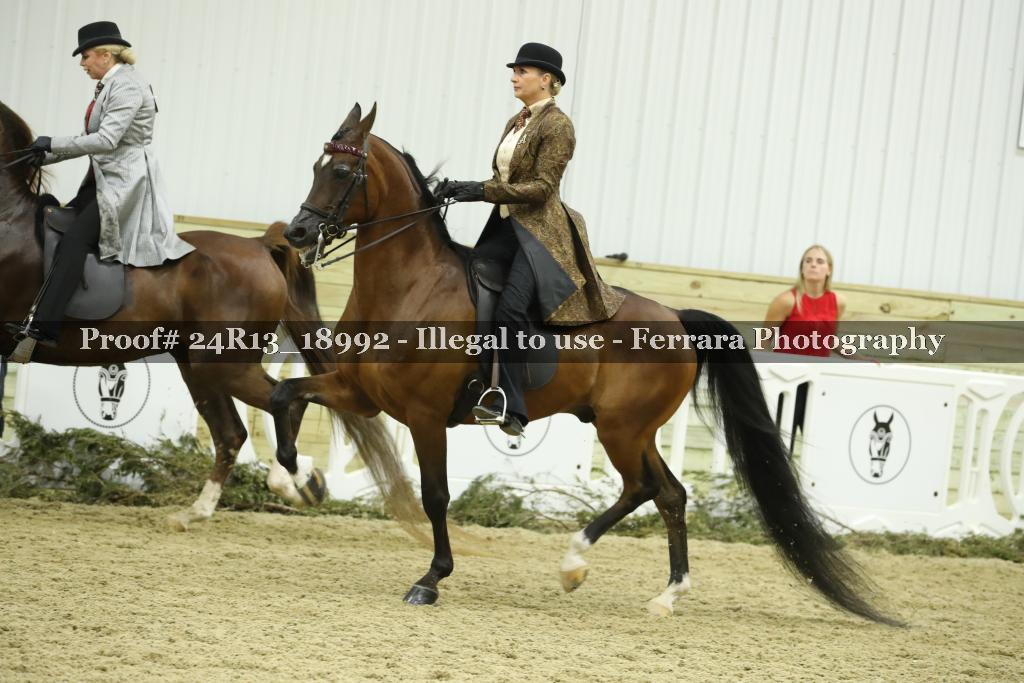 Proof 24R13_18992