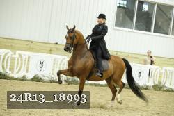 24R13_18993 proof