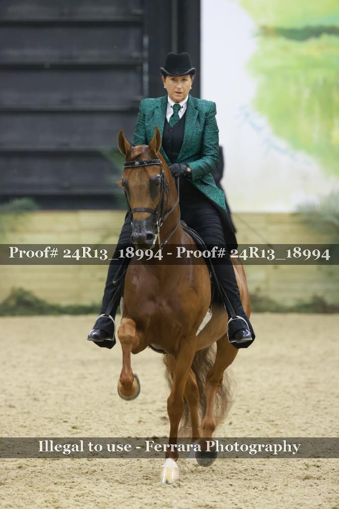 Proof 24R13_18994