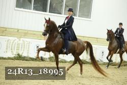 24R13_18995 proof