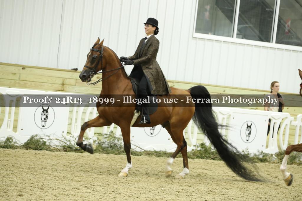 Proof 24R13_18999