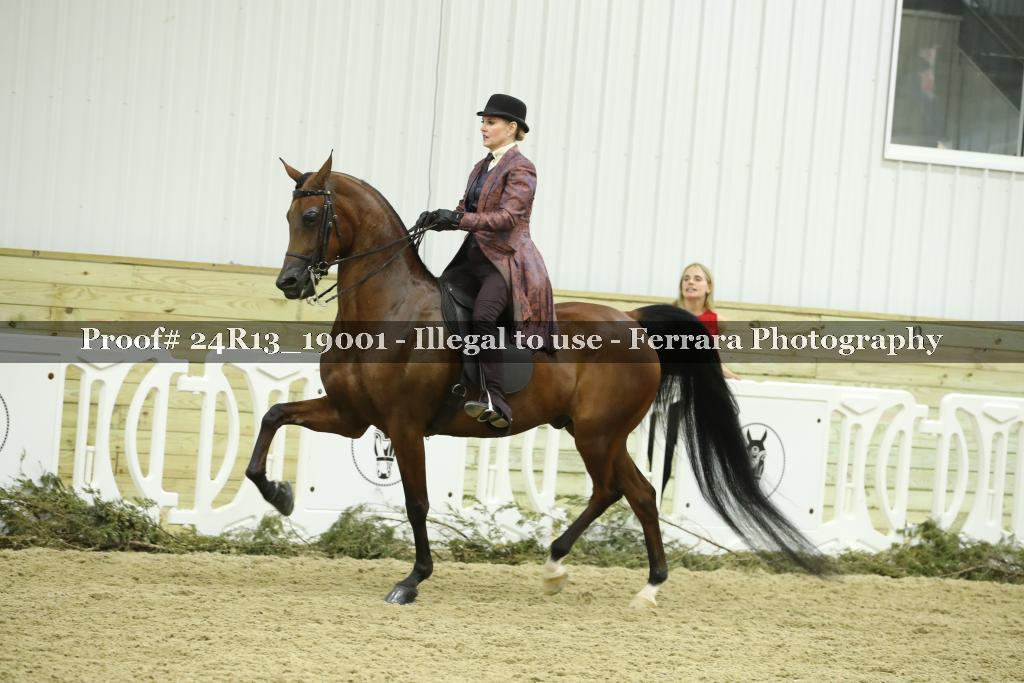 Proof 24R13_19001