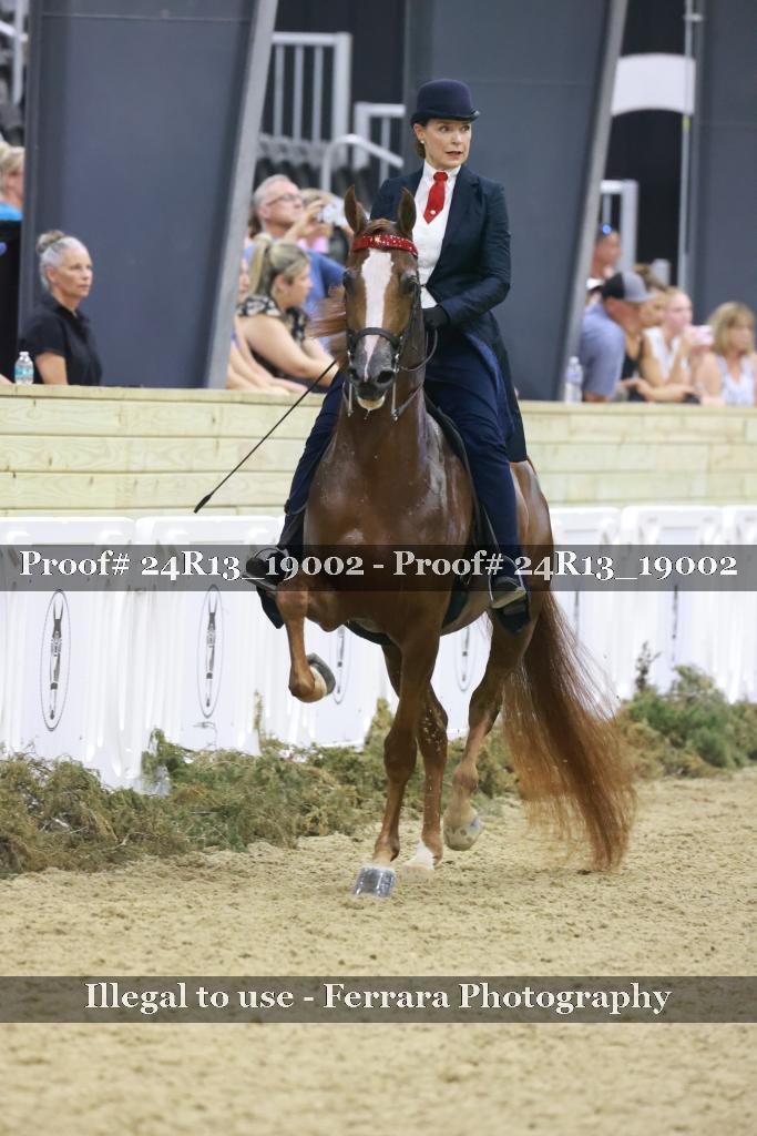 Proof 24R13_19002