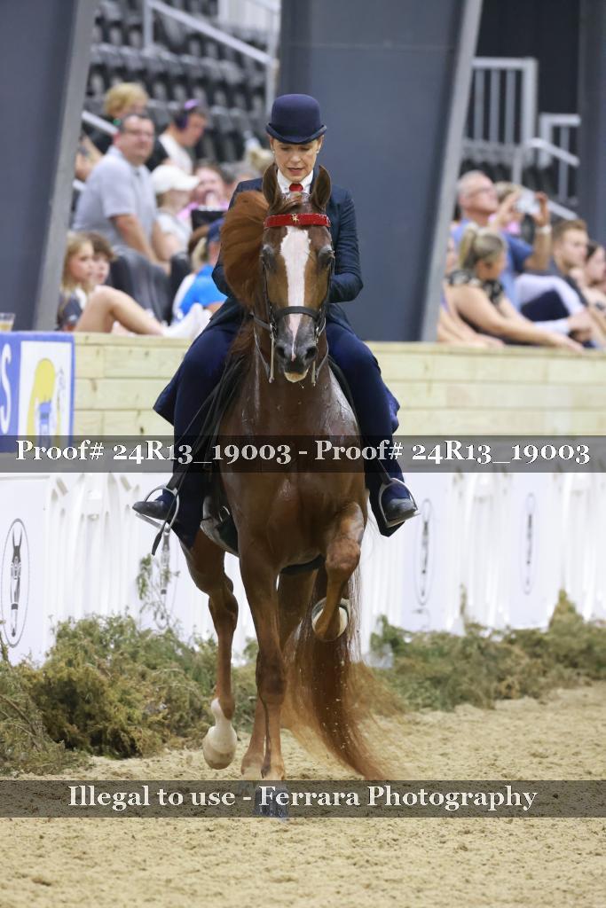 Proof 24R13_19003
