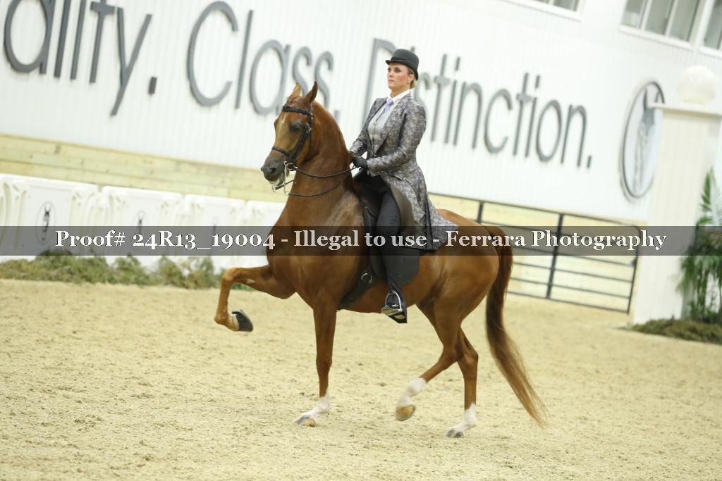 Proof 24R13_19004