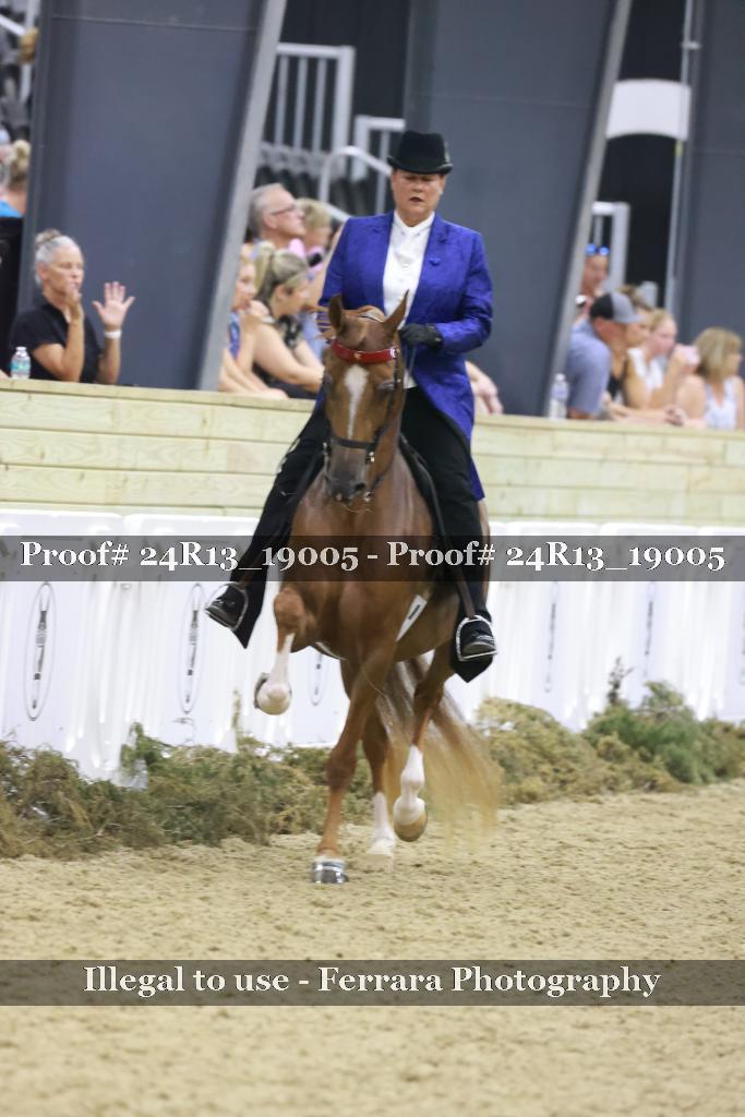 Proof 24R13_19005