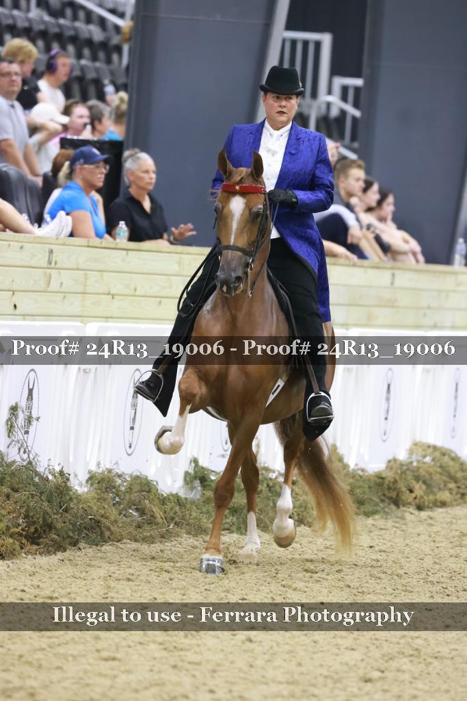 Proof 24R13_19006