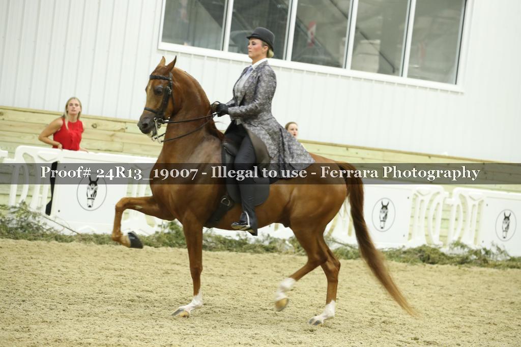 Proof 24R13_19007