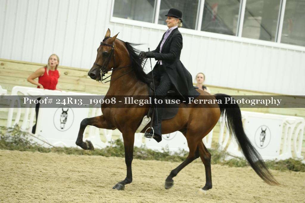Proof 24R13_19008