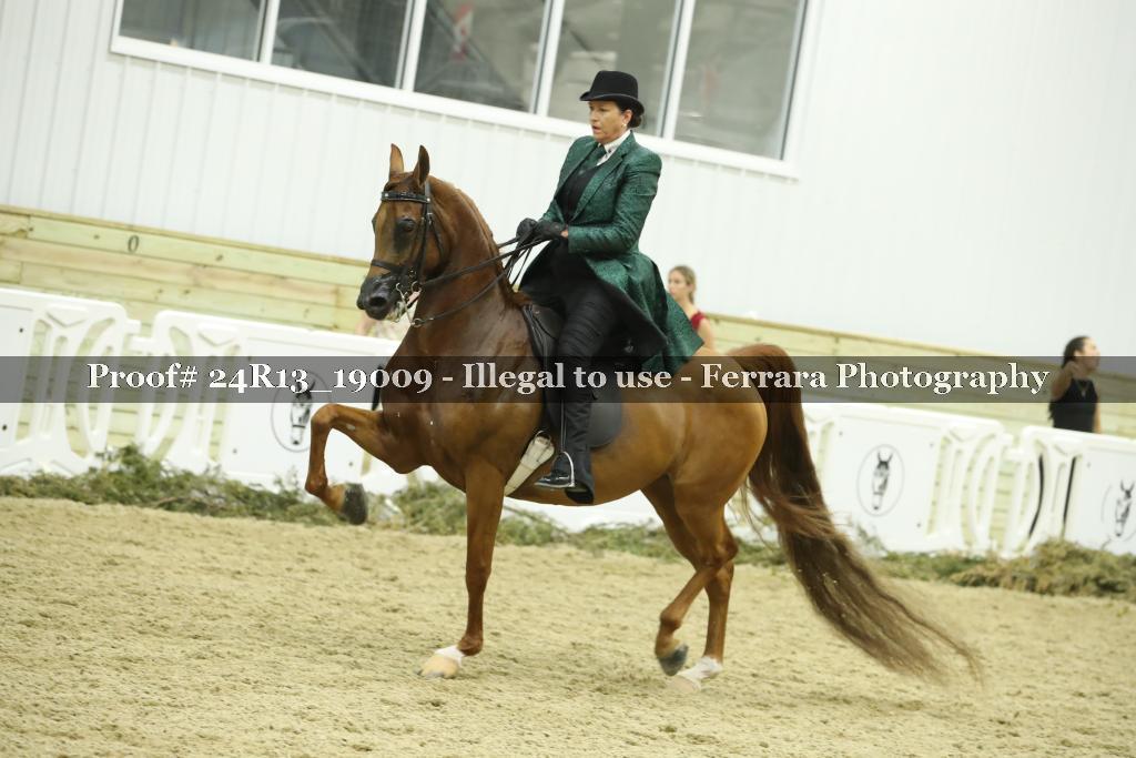 Proof 24R13_19009